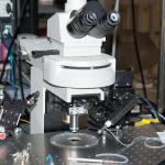 Electric Toy Testing Lab Accreditation Cpsia Accredited Laboratories Third-party