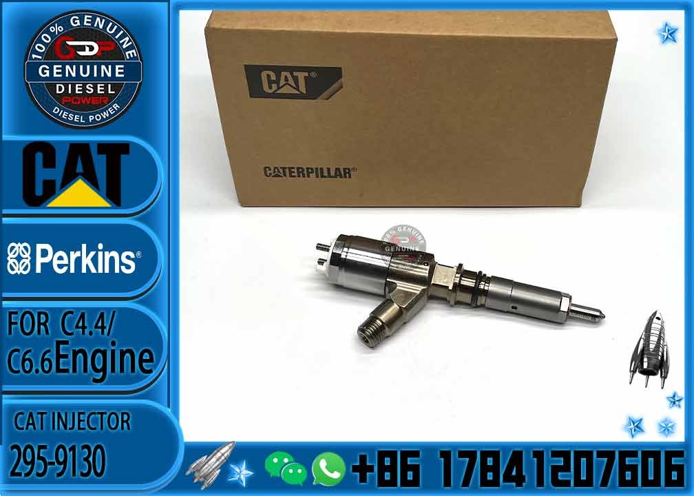 diesel engine parts Common rail injector 295-9130 382-0480 282-0490 292-3780 306-9380 306-9390 310-9067
