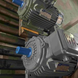 Quality Stainless Steel IE3 Single Phase Electric Motors wholesale