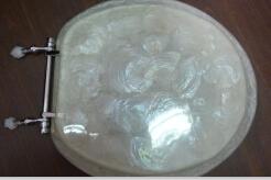 Quality pear shell decor toilet seat cover wholesale