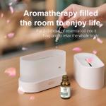 Homefish DropShipping Fire Flame Smart Humidifier Aroma Diffuser 2023 Air