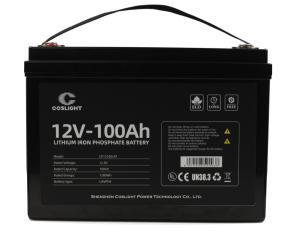 Quality 12v 100ah Submarine Lead Acid Battery Talentcell E bicycle wholesale
