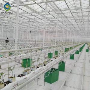 Quality Agricultural Hydroponics Large Multi Span Greenhouse Steel Structures wholesale