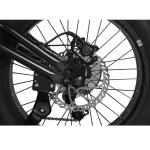 Off-Road Electric Fat Tire Bike Rear Hub Motor 20" Wheel Size for Exciting