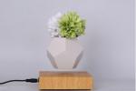 LYFE levitating planter,MAGNETIC levitation air bonsai tree pot plant