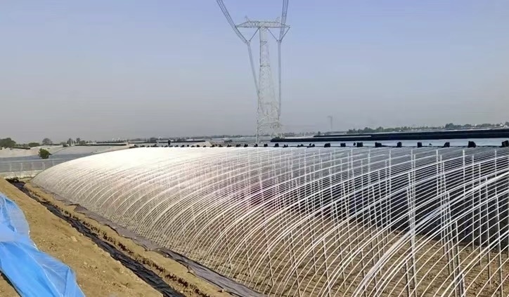 Aquaculture Seeding Breening Sunlight Greenhouse