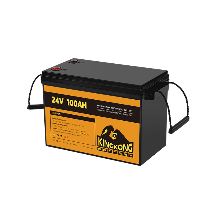 24V 50Ah 60Ah 100Ah 200Ah 230Ah 300Ah 400Ah 460Ah Iron Lithium LifePo4 Battery With BMS