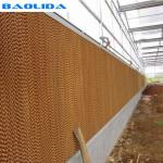 Agriculture Greenhouse Cooling System / Negative Pressure Ventilation Fan