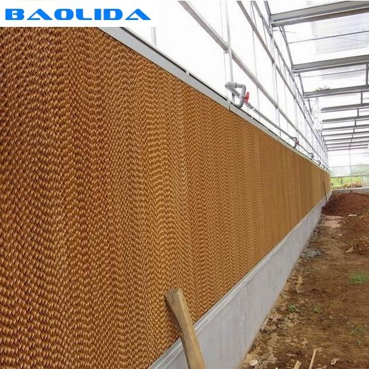 Greenhouse Evaporative Cooling System With Exhaust Fan Plant Growing
