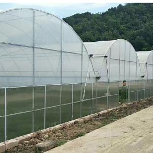 Quality Agricultural Greenhouse Ltd. Presents Large Vertical Hydroponic System for Lettuce wholesale