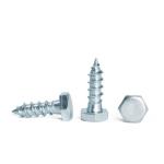 Hex Head Wood Screw Din571 Lag Bolt Coach Screw for Steel/SUS304 within
