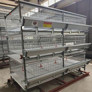 Quality Modern Farm 150 / 200 Birds Broiler Chicken Cage Q235A Steel Wire Material wholesale