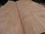 African Rotary Cut/Peeled Okoume Wood Veneer Sheet