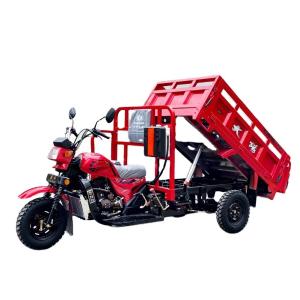 Quality Maximum Speed 50-70Km/h Super Powerful Engine Cargo Tricycle for Adult in South Africa wholesale
