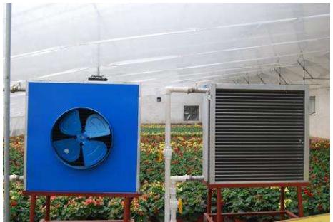 Customized Glass-Covered Vegetable Greenhouse for Restaurant Growth