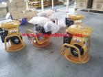 Factory Price Portable Gasoline Mechanical Concrete Vibrator ,Vibrator For