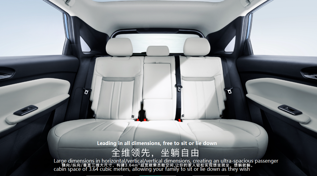Level Compact SUV 2024 Venucia VX6 Energy Vehicle with 450km Range and 5-Seats Battery type Lithium Iron Phosphate 2025