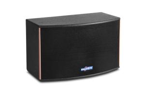 Quality 10 inch pro loudspeaker passive three way karaoke speaker OK220 wholesale