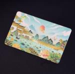 Magnetic Stripe Custom Plastic VIP Cards