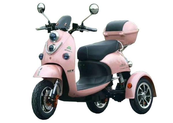 Alloy Wheel Electric Three Wheel Motorcycle Cargo Tricycle Motor Long Rang