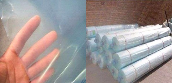 Used Container Tomato Greenhouse PE Material Optional Ventilation System