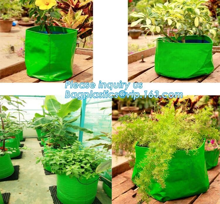 100 /200/300 gallon tan tree grow bag 100gallon grow bag for plant trees,vegetables grow bags planting bags growing bags