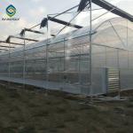 Clear Sawtooth Roof Multi Span Greenhouse Plastic Sheeting ISO9001 2008