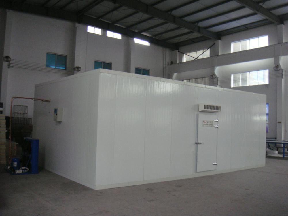 Deep frozen cold room for meat