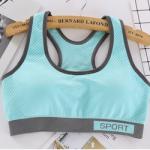 Underwire Sports Bras For Women High Impact Large Bust Macaron Color
