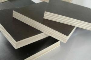 Quality high quality phenolic film faced plywood for construction wholesale