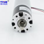 TYHE Small Planetary Metal Gear 12V DC Gear Motor High Torque D42mm