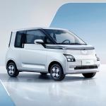 Chinese Mini EV Cars 2 seater Small Electric Vehicles Affordable