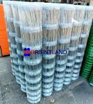 Hot Dip Galvanizing Sheep Net Hinge Joint Farm Field Fence