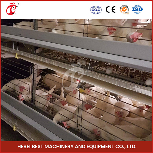 Hot Deep Galvanized Automatic Chicken Coop Equipment For Poultry Breeding Emily