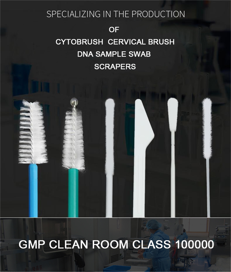Sterile HPV Nylon Disposable Cytology Brush With Ball Head