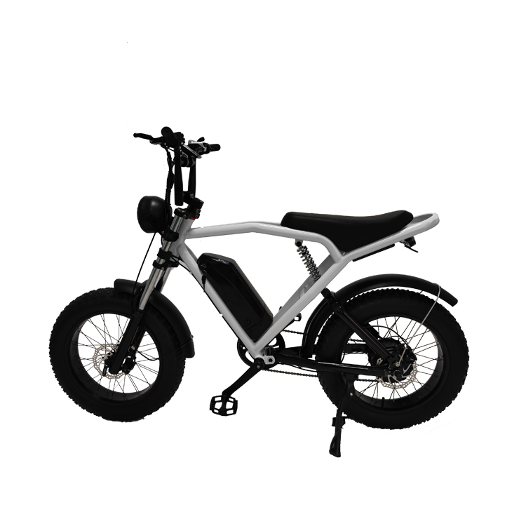 Off-Road 20*4.0 Kenda Tire Electric Bike For Thrilling Rides And Fast Shipping
