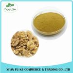 High Quality Walnut Kernel Extract Powder