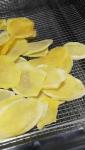 Brewery Yeast meat drying equipment Gearbox Green Tea Dryer for Farms