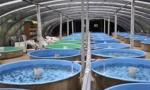 Corrosion Resistance Fiberglass Fish Tank