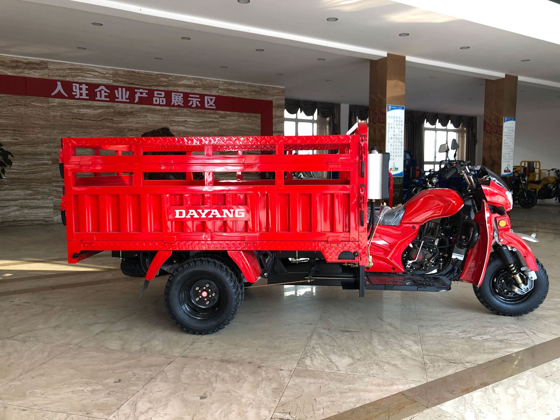 High Cost Performance 250cc DAYANG Cargo Motorized Trike with 800W Power and 9A Battery