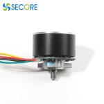 38mm 12V Brushless Electric Motor pernanent magnet For Muscle Vibration