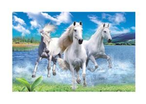 Quality Runnig Horse 3D Lenticular Pictures For House Decorative 0.6mmPET wholesale