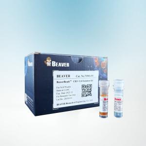 Quality Laboratory Use Beaver Beads Cell Isolation Kit 10 / 50 / 100 Cells wholesale