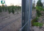 Galvanised 50x40MM Vineyard Trellis Posts For Big Wine Garden