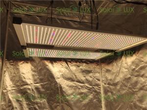 Quality Horticulture 240Watts DIY Led Indoor Garden Lights wholesale