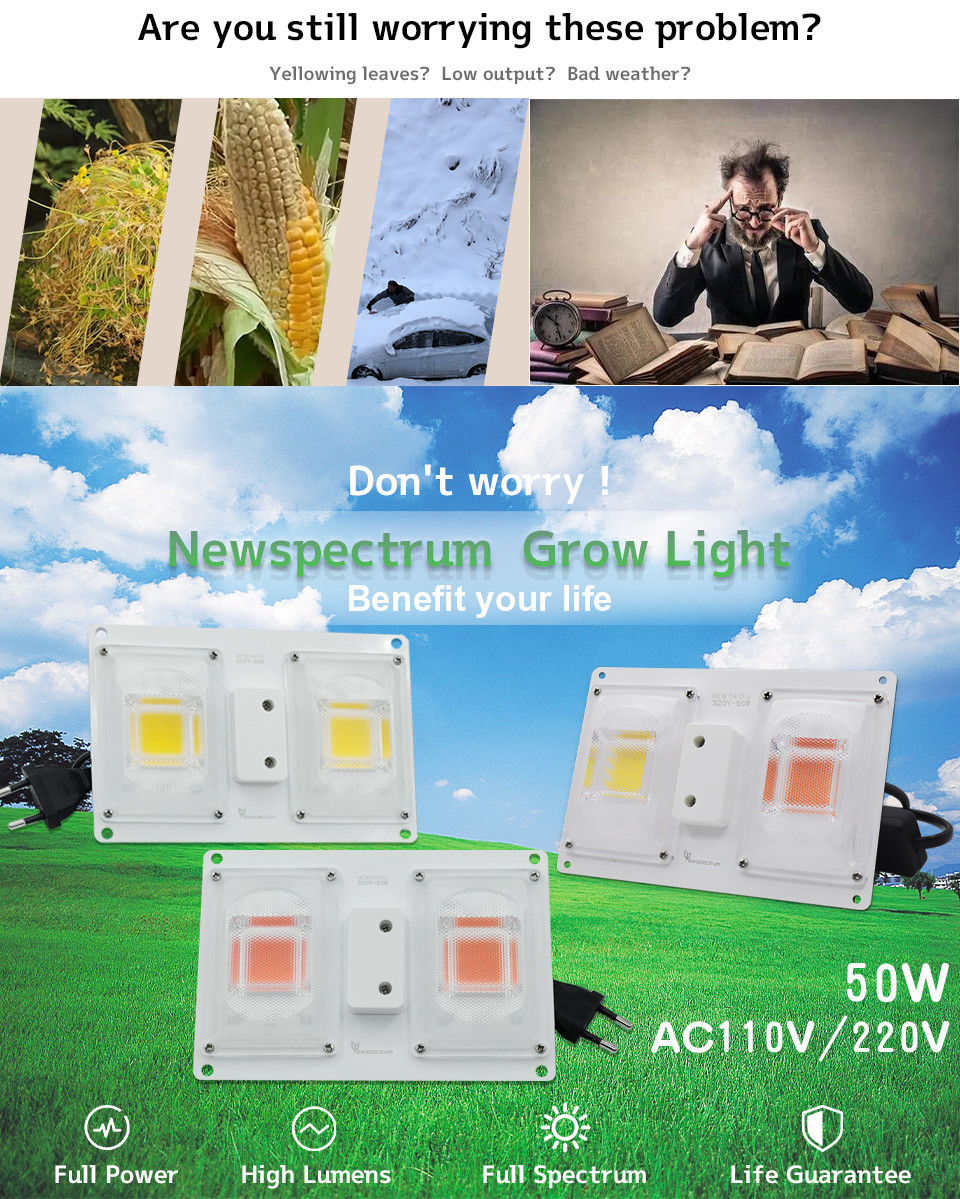 Energy Saving Full Spectrum Led Grow Lights Board 50W Voltage 110V
