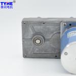 CE ROHS Permanent Magnet DC Gear Motor 10 Nm Torque DC Motor