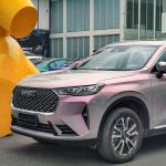 60in x50ft Berry Blush Pink color paint protection film automotive wrap