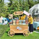 Custom Clear Plastic Bubble Tent Aluminium Picnic Bubble Tent