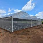 Hydroponic Complete Thailand Multi Span Greenhouse Side Ventilation Industrial